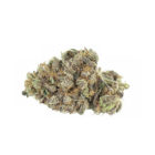 Ciliegina CannabisProtectio