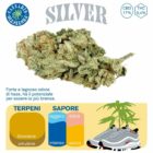 Silver Cannabis Protectio