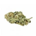Silver - Cannabisprotectio - Hemporio Emilia