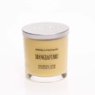 candela-vegetale-mangiafumo-coperchio-alluminio-ml150