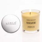 candela-vegetale-mangiafumo-coperchio-alluminio-ml150