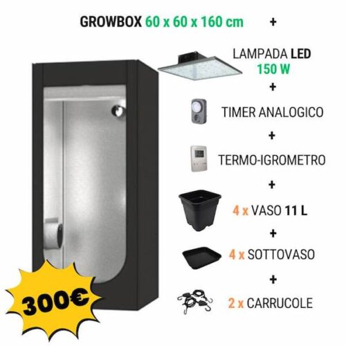 Kit Completo Growbox 60 x 60