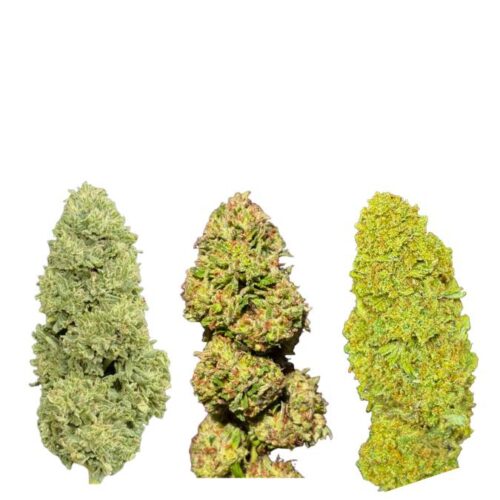 Pacco Assaggio Infiorescenze