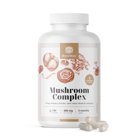 Complesso di 6 Funghi Benefici