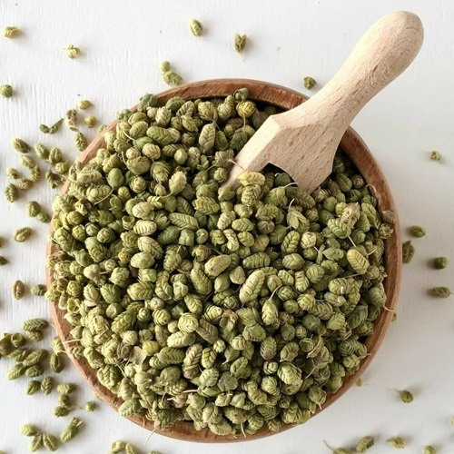 origano- erbe speciali