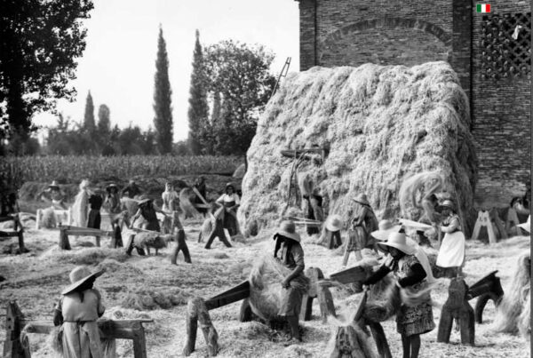 Canapa Italiana nel '900