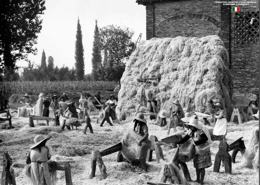 Canapa Italiana nel '900