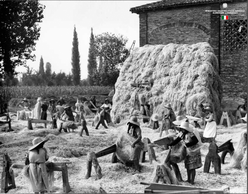 Canapa Italiana nel '900