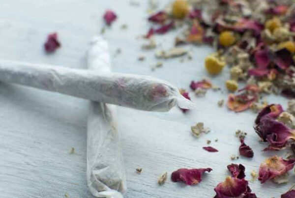 erbe da fumo - sigaretta alle rose- hemporio emilia