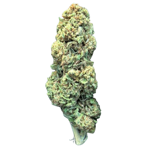 Northern Lights